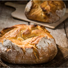 Grilled food example